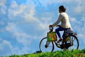 assurance velo